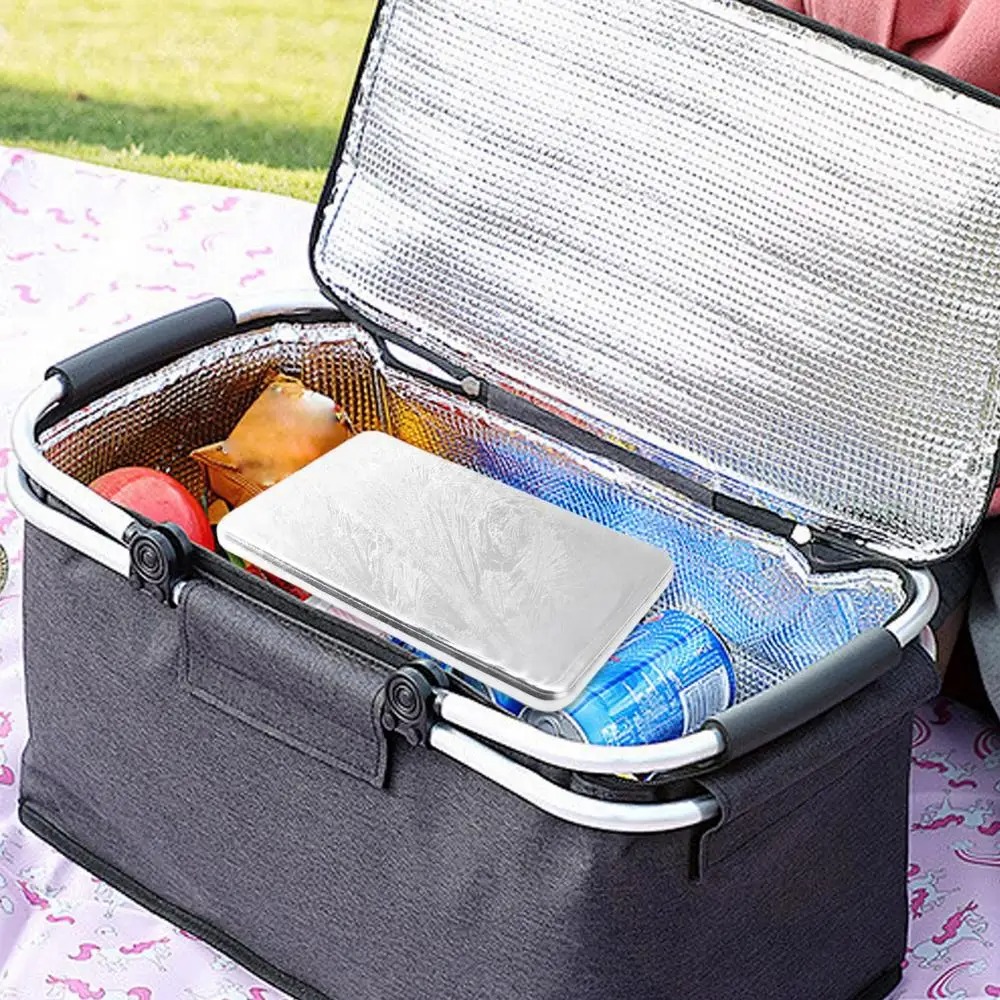 Reusable Stainless Steel Ice P - Meal Prep Quick 评论和价格